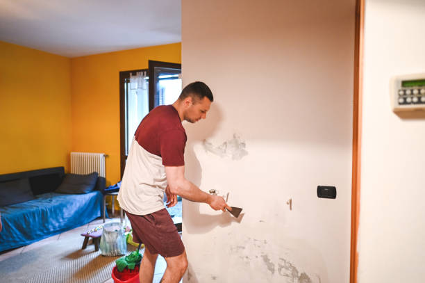 Best Attic Mold Remediation in Shreve, OH